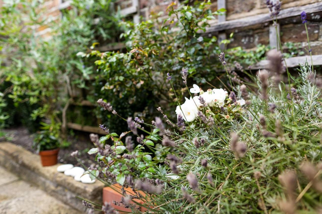 Meads Garden Cottage Close To Sea WTA WTA Eastbourne Exterior foto